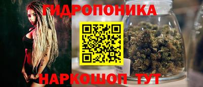 spice Новодвинск