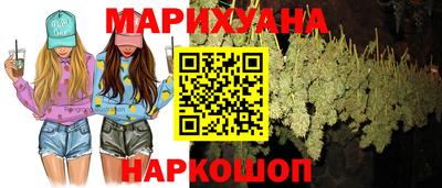 spice Новодвинск
