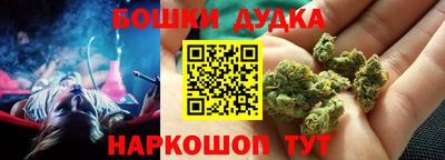 spice Новодвинск