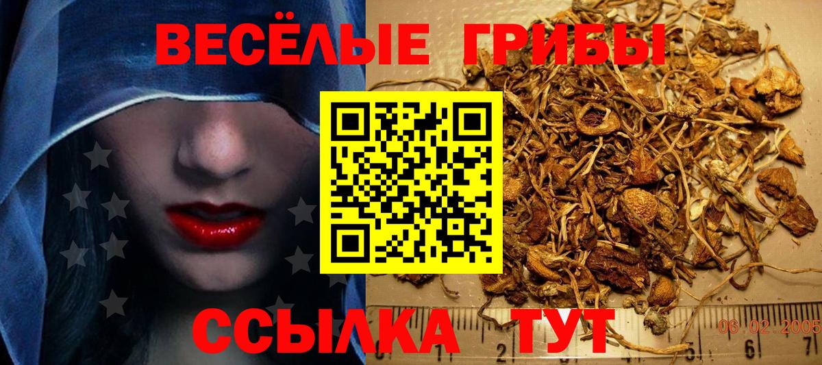 Галлюциногенные грибы мухоморы Усинск